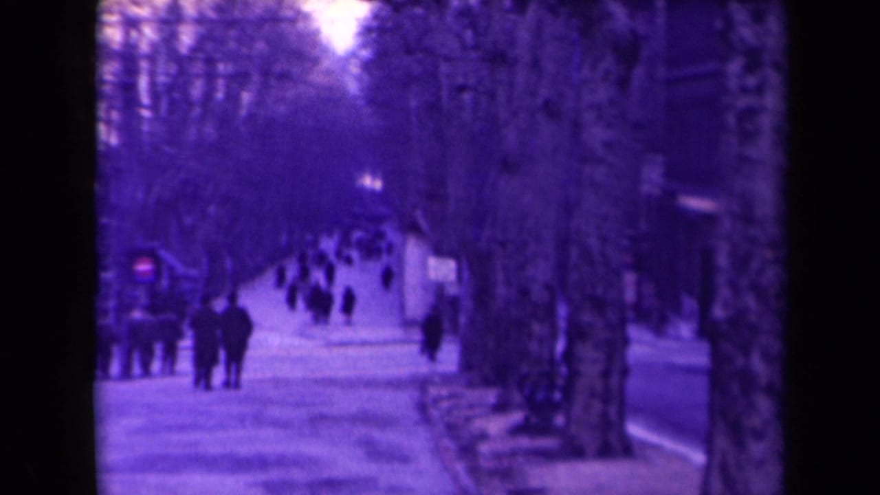 Distant pedestrians walk down a snowy avenue lined with bare trees.