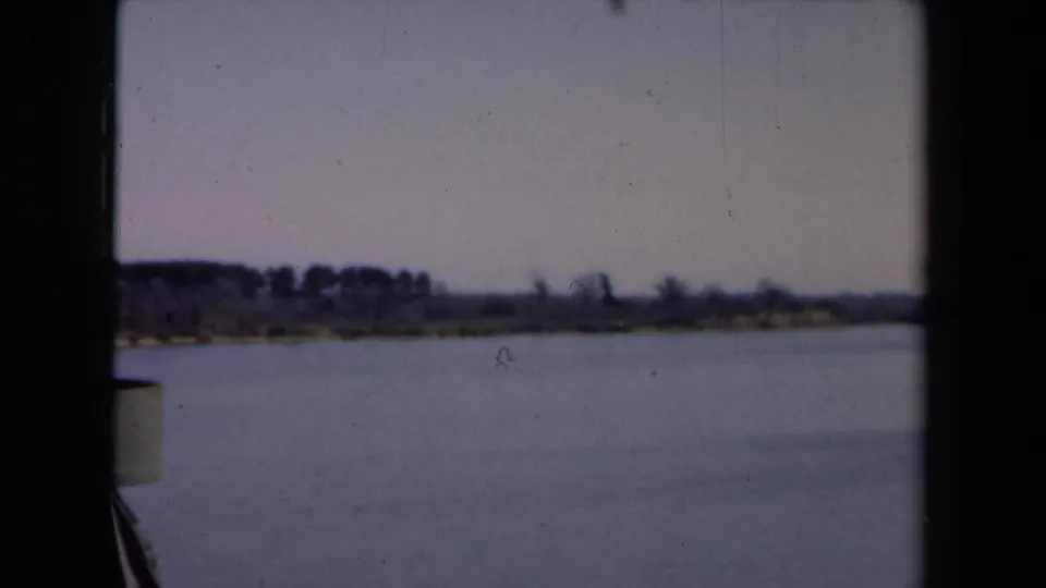 Boat-passenger view across Dutch river water toward a low shoreline with trees under a pale sky.