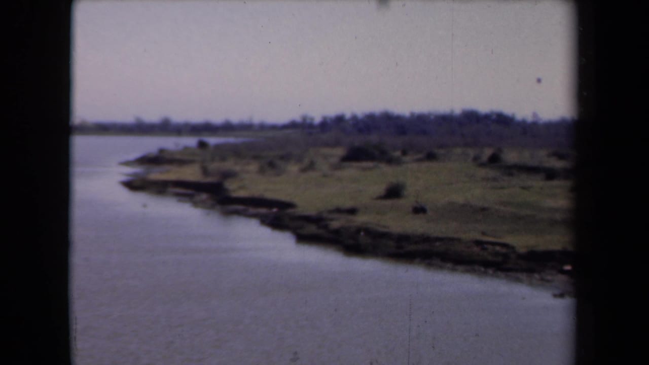 Calm water beside a low grassy shoreline under a pale sky.