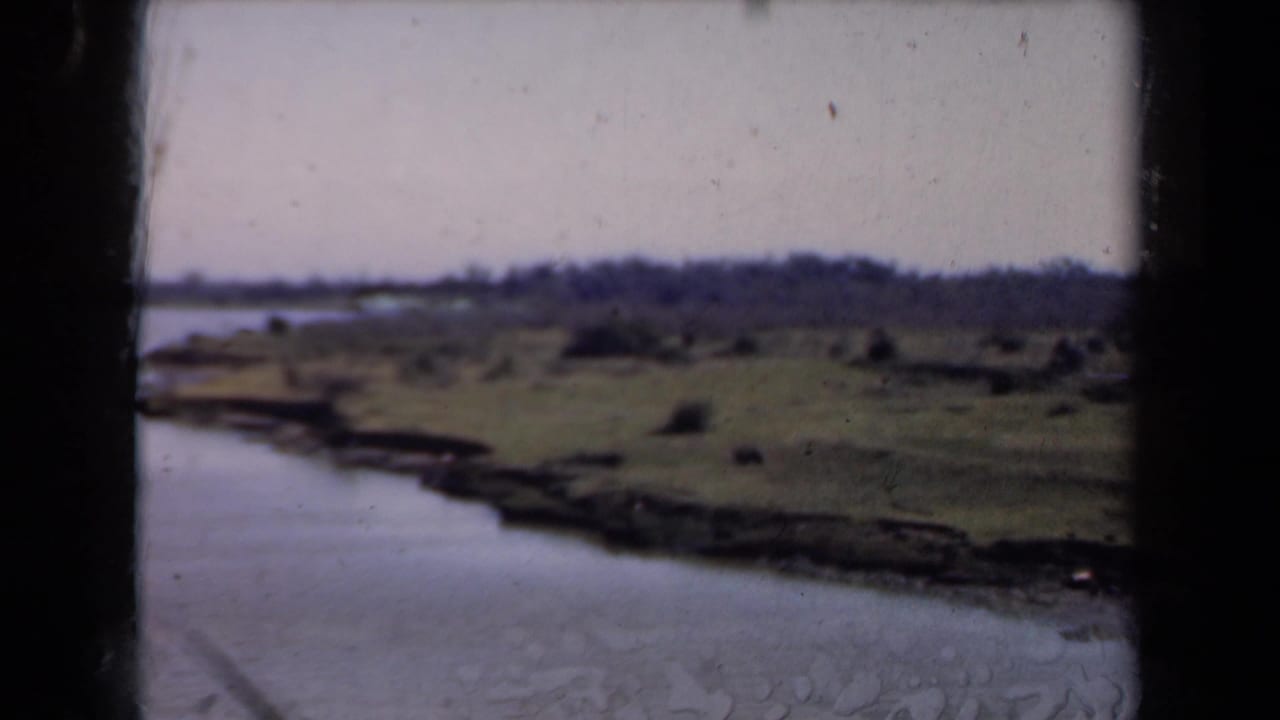 1946 Netherlands 8mm frame with a quiet waterfront, scrubby shore, distant tree line, and visible dark gate edge from the film scan.