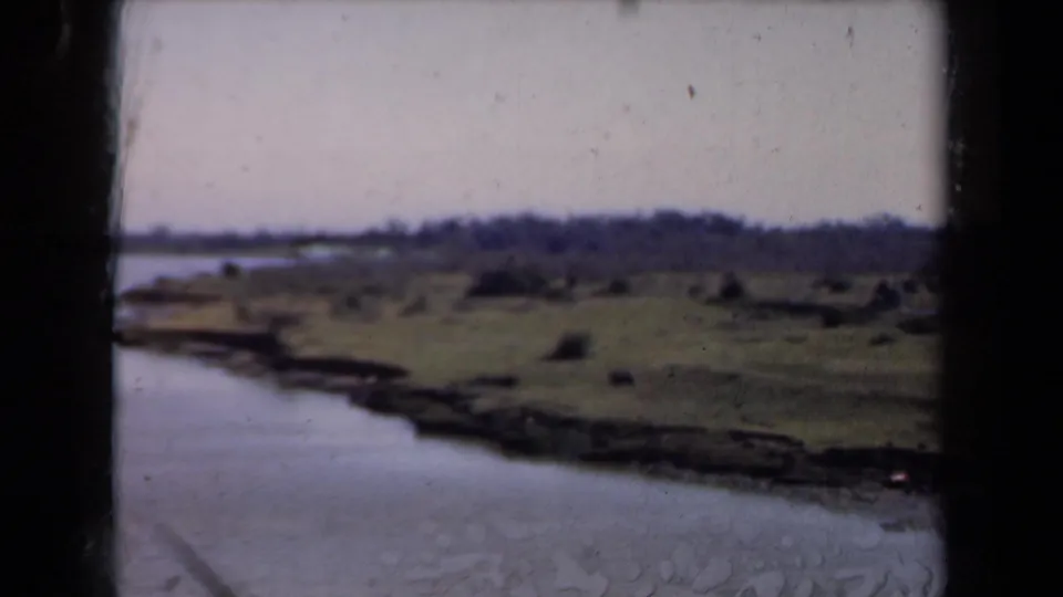 1946 Netherlands 8mm frame with a quiet waterfront, scrubby shore, distant tree line, and visible dark gate edge from the film scan.