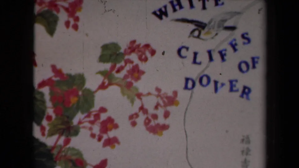 Decorative cover fills the 8mm frame, showing pink blossoms, green leaves, partial White Cliffs of Dover text, and a small bird illustration.