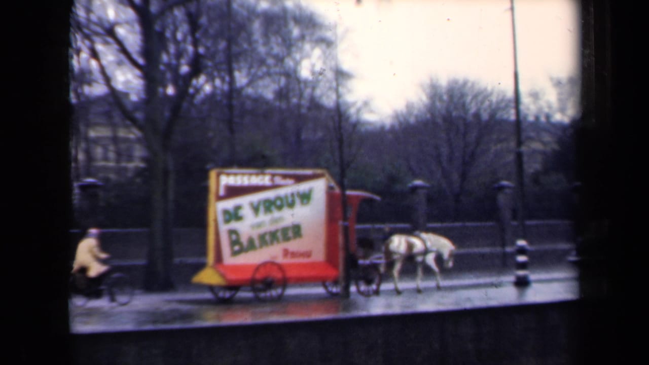 Horse and advertising cart on a rainy street as a cyclist passes in front.