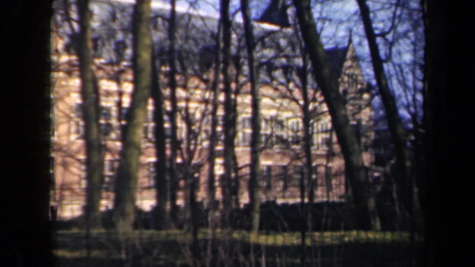 1946 Netherlands 8mm frame looking through dark tree trunks toward large buildings and open grounds.