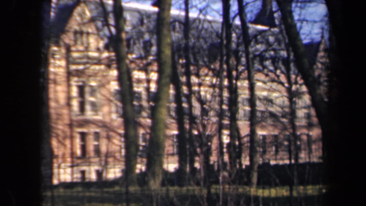 Tree trunks frame a pale brick facade with rows of windows.