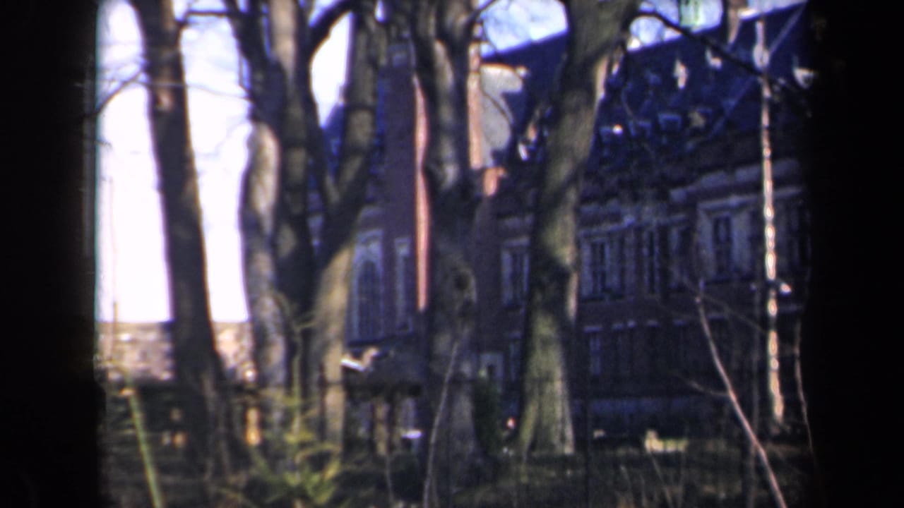 Tree trunks and branches partially block a large building with many windows.