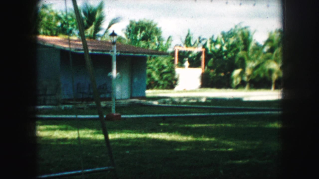 1959 Kansas City home-movie view through a window toward a backyard lawn, low house, hedges, and palm-like trees.