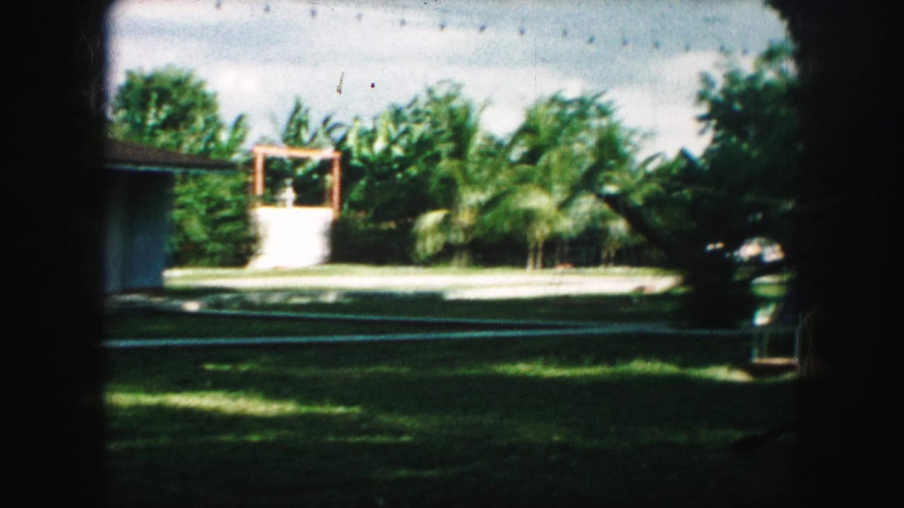 Window-framed yard with hedges, palm-like trees, and a light-colored structure in the background.
