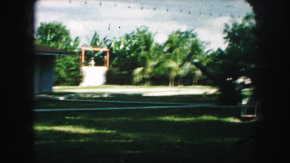 1959 Kansas City residential yard seen from behind a window, with lawn, hedges, palm-like foliage, and a low home nearby.