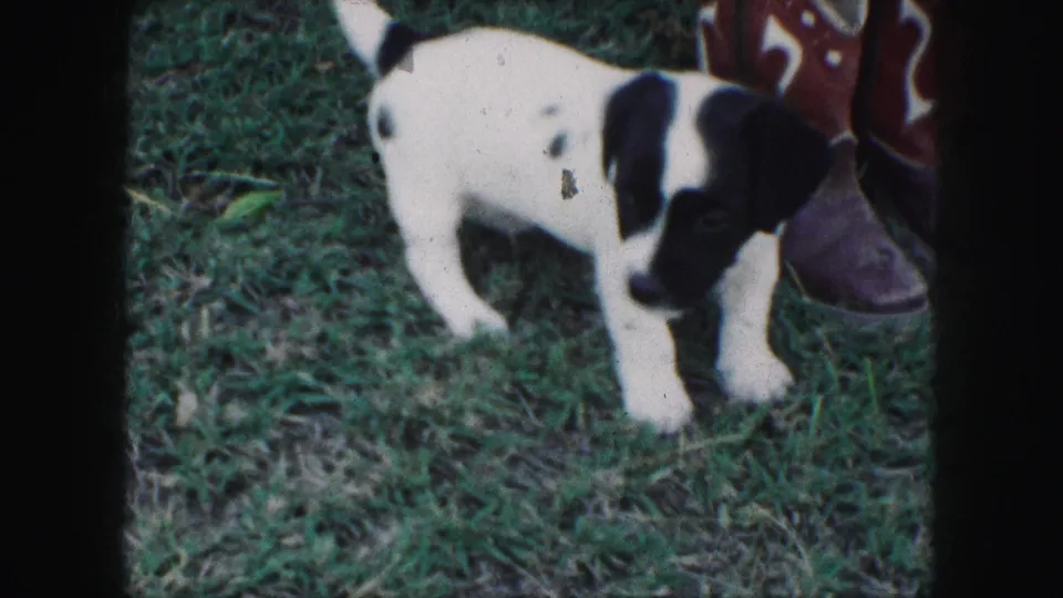1959 Kansas City home-movie frame of a puppy standing in a grassy yard near a red cowboy boot.