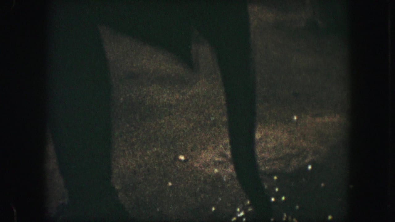 1959 Kansas City home-movie frame showing a large elephant partly obscured in a dim enclosure with grainy 8mm texture.