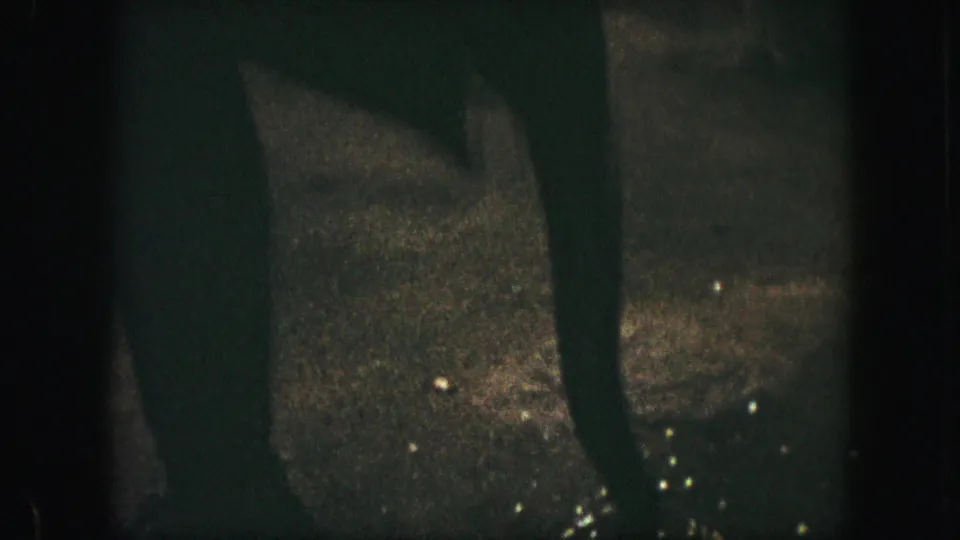 1959 Kansas City home-movie frame showing a large elephant partly obscured in a dim enclosure with grainy 8mm texture.