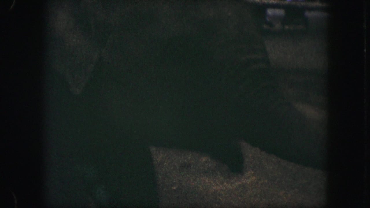 A shadowed 8mm view of the elephant's legs and body in a dark enclosure, with little background detail visible.