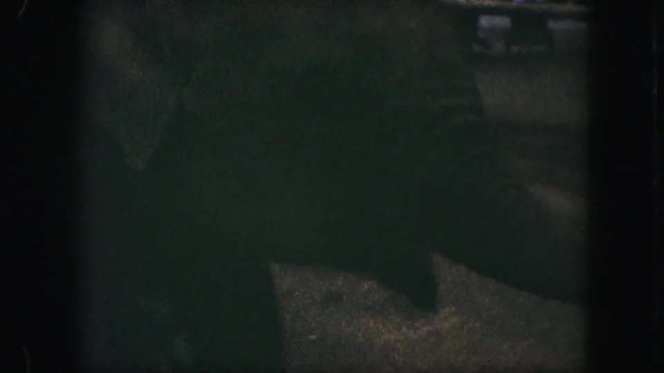 A shadowed 8mm view of the elephant's legs and body in a dark enclosure, with little background detail visible.