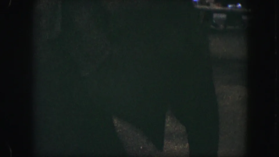 A low-exposure home-movie frame with the elephant mostly hidden by darkness and vertical foreground shapes.