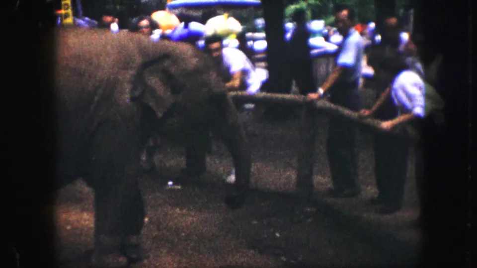 1959 Kansas City frame showing an elephant at a rail with visible adult visitors nearby and balloons behind the enclosure.