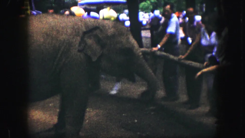 A grainy 8mm frame shows the elephant reaching its trunk toward visitors behind the wooden fence in Kansas City.