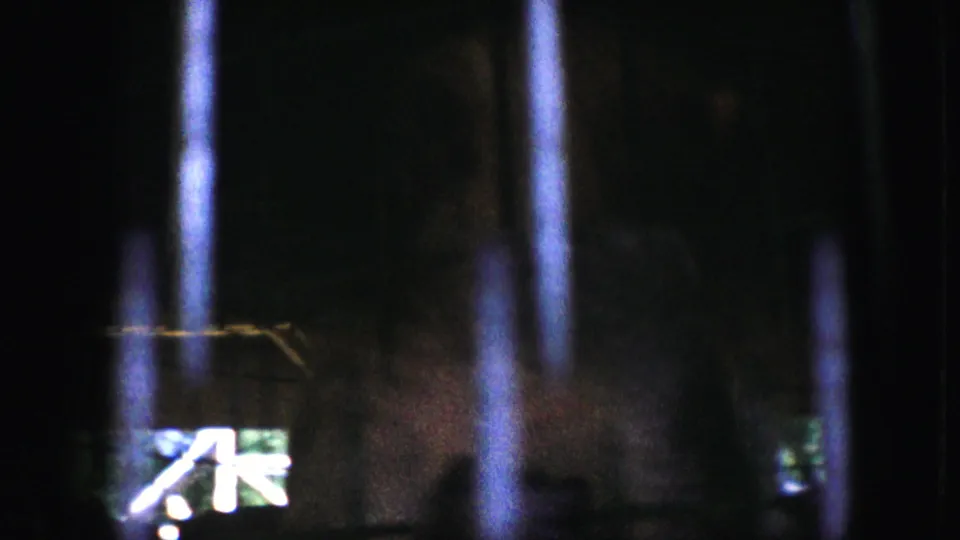 The final frame shows the animal mostly in shadow behind bars, with only parts of its face and body visible.