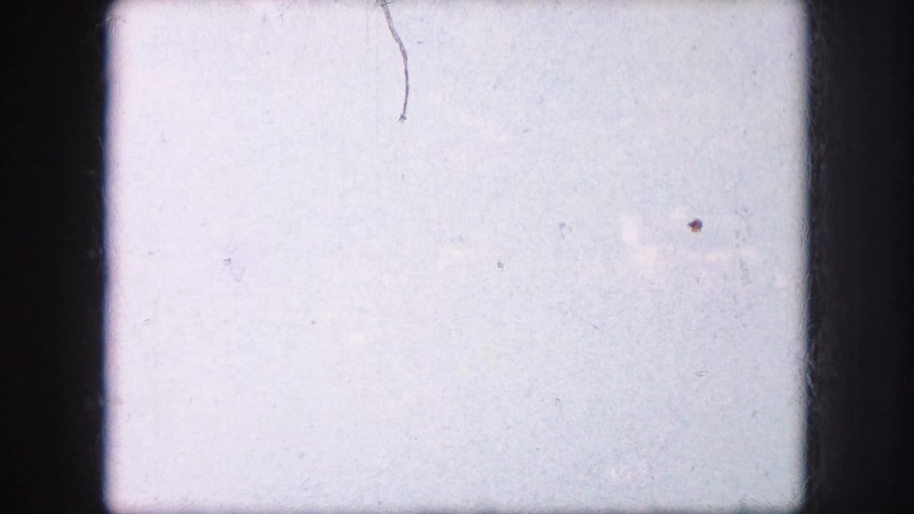 Pale leader-like 8mm frame with dark edges, scratches, dust, and faint exposure texture before the garden view appears.