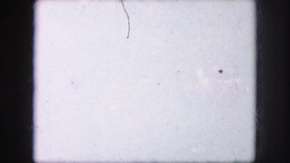 Pale leader-like 8mm frame with dark edges, scratches, dust, and faint exposure texture before the garden view appears.