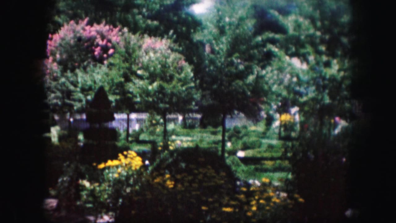 Garden view with trees, flowering shrubs, yellow flowers, lawn, and white fencing.