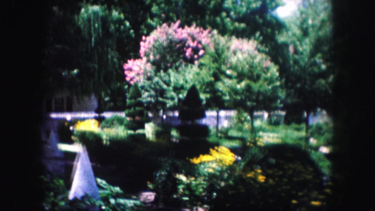 1959 Kansas City garden scene showing a white cone-shaped yard ornament, dense greenery, yellow flowers, pink blossoms, white fencing, and shaded trees.