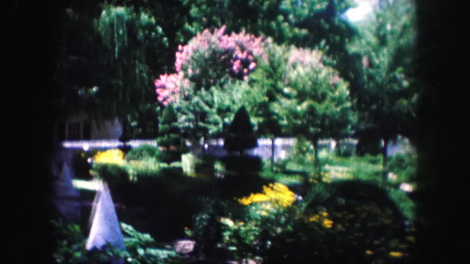 1959 Kansas City garden scene showing a white cone-shaped yard ornament, dense greenery, yellow flowers, pink blossoms, white fencing, and shaded trees.