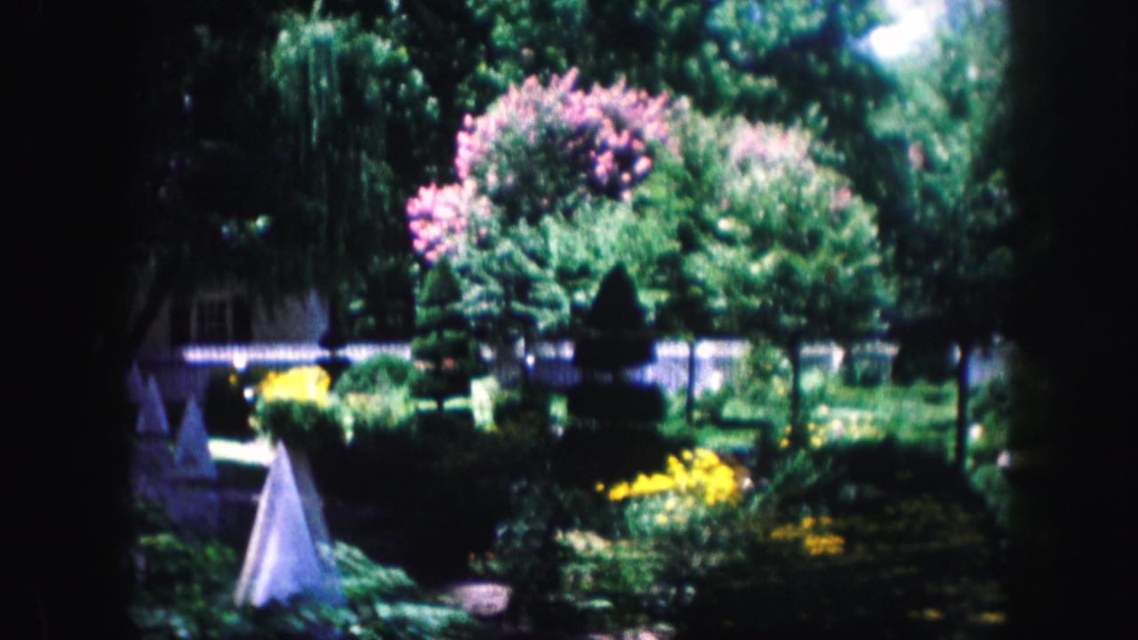 1959 Kansas City home-garden view with a white cone-shaped ornament, bright yellow flowers, flowering shrubs, mature trees, and a partial house or yard structure.