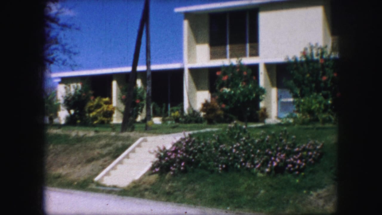 White modern building with large windows, lawn, walkway, shrubs, and trees.