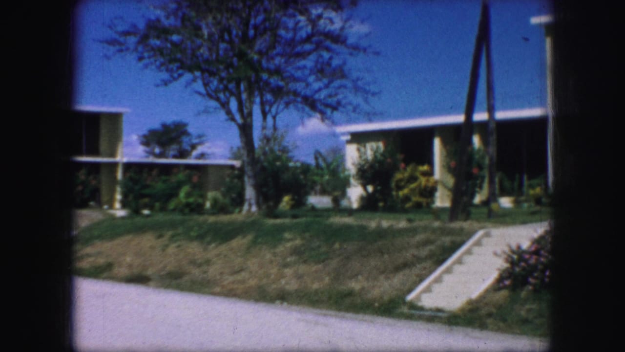 1959 Kansas City exterior view of a suburban home across a road, with a sloped lawn, ramp or walkway, shrubs, tree, and utility poles.