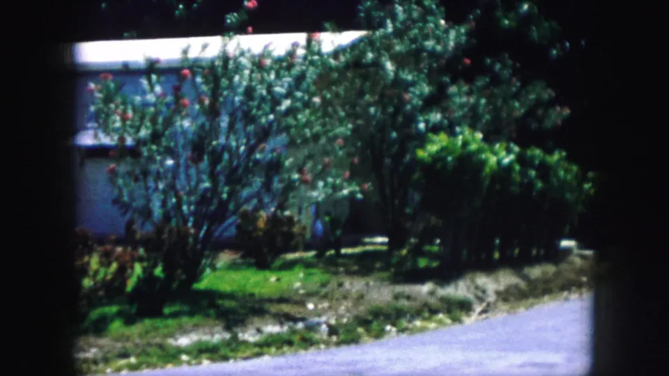 1959 Kansas City home-movie frame shifting toward roadside landscaping, with leafy shrubs, flowering plants, bright lawn, road, and part of the house.