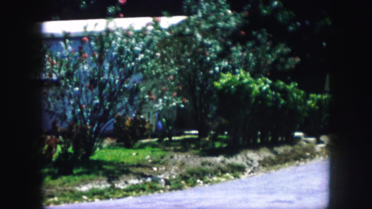 1959 Kansas City home-movie frame showing a sunlit yard, green shrubs, red blossoms, a driveway edge, and a pale house exterior.