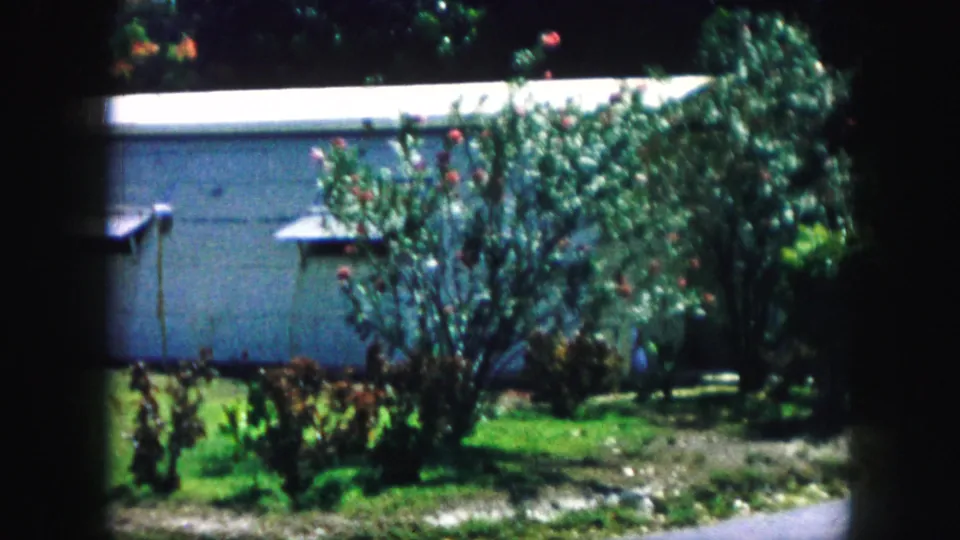 1959 Kansas City home-movie view of a house-side garden, with shrubs, blossoms, lawn, soil, and a driveway in soft 8mm color.