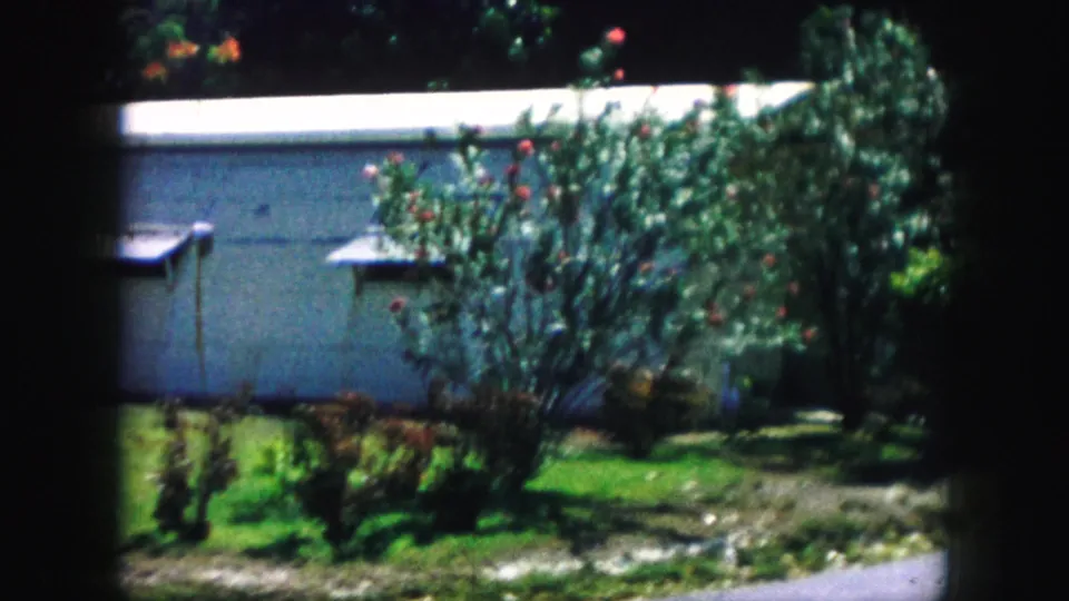 1959 Kansas City residential exterior frame with flowering shrubs, green lawn, pale house wall, and driveway seen through dark 8mm frame edges.