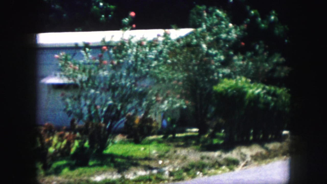 Kansas City 1959 home-movie frame showing greenery, a lawn, shrubs, and a partial white building exterior.