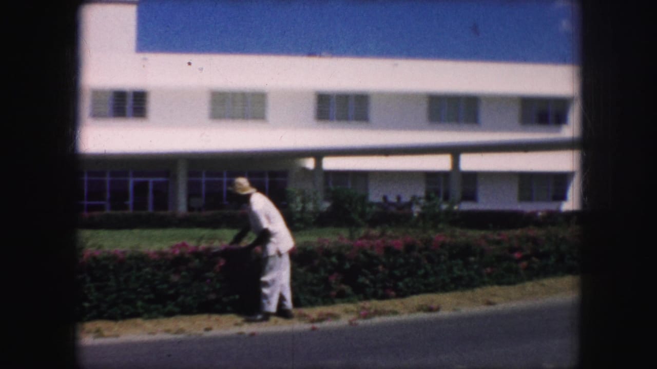 A man continues trimming a red-flowering hedge outside a white mid-century building in the Kansas City 1959 clip.