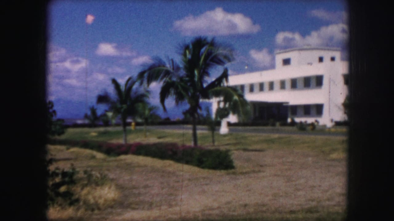 White rounded building behind palm trees and lawn under a blue sky.