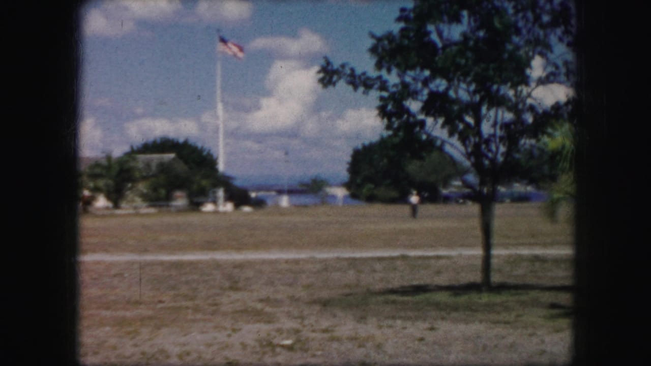 Open field with American flagpole, trees, water in the distance, and a small figure near the center.