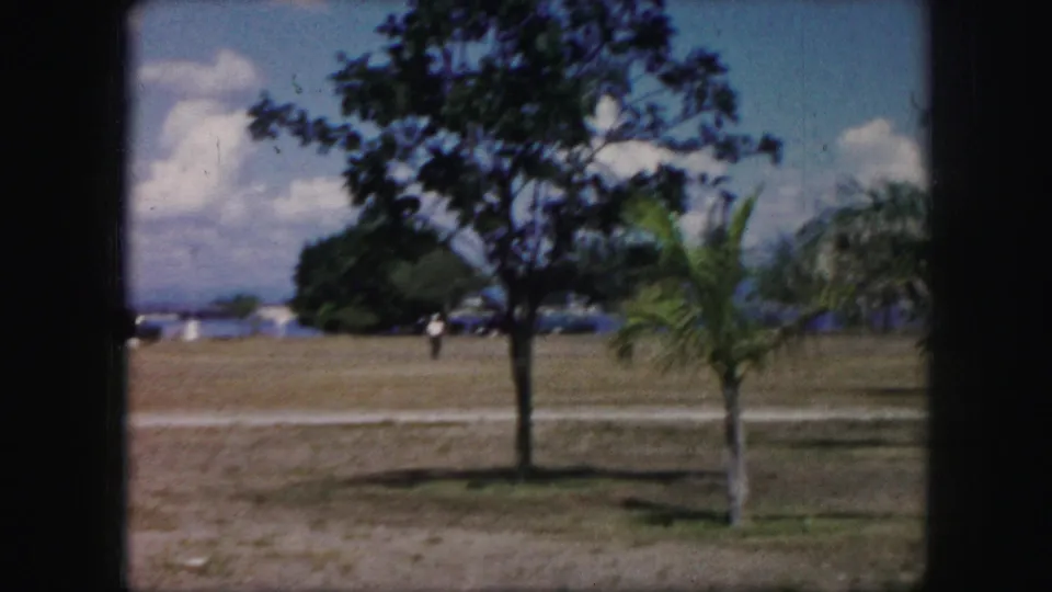 1959 8mm frame showing a tree-lined open field with palm-like foliage, a distant walker, and a waterfront background.