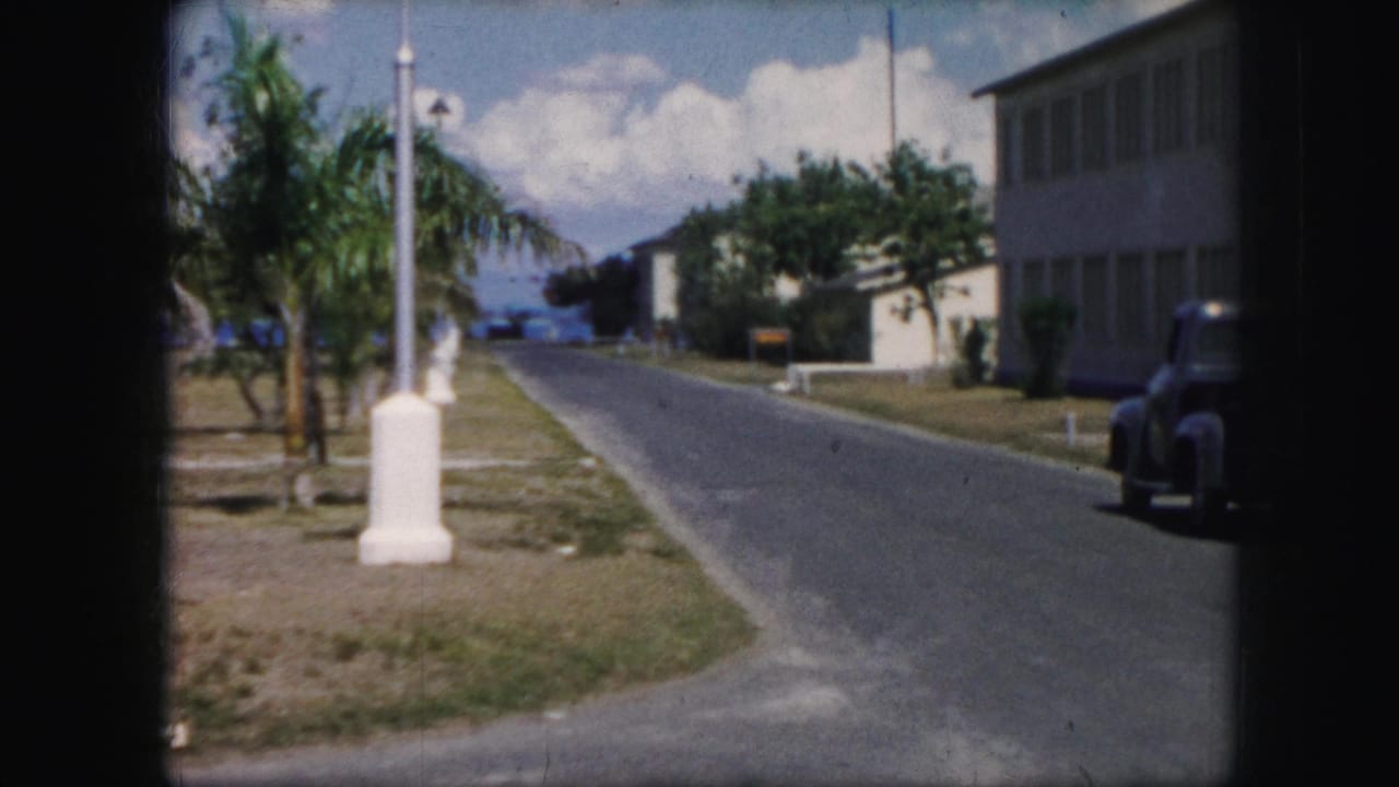 Palm-lined residential street with low buildings and a dark parked car near the curb.