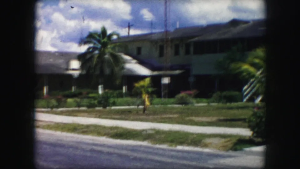 Kansas City residential street view from 1959 metadata, showing a palm tree, raised houses, sidewalk, lawns, and bright sky.