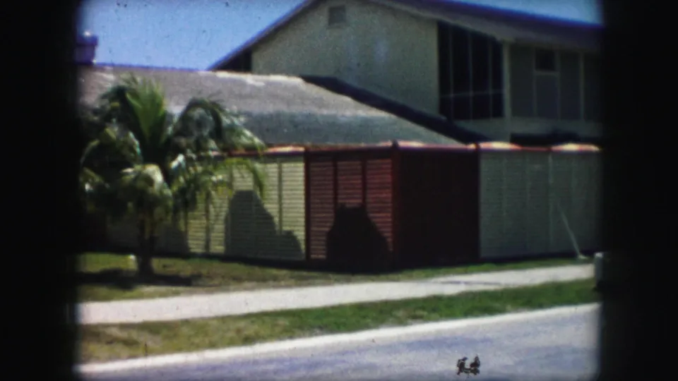 1959 Kansas City home-movie frame showing palm fronds, a sloped-roof house, red and beige wall panels, sidewalk, and street edge.