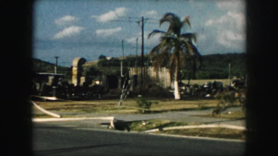 Late-1950s Kansas City street view showing palm trees, low buildings, utility poles, curb, and distant hillside in soft 8mm color.