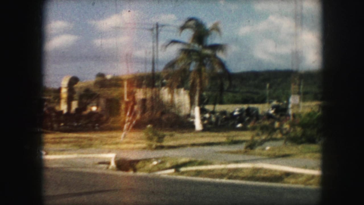 Roadside view with palm tree, grass, utility poles, and distant hillside.