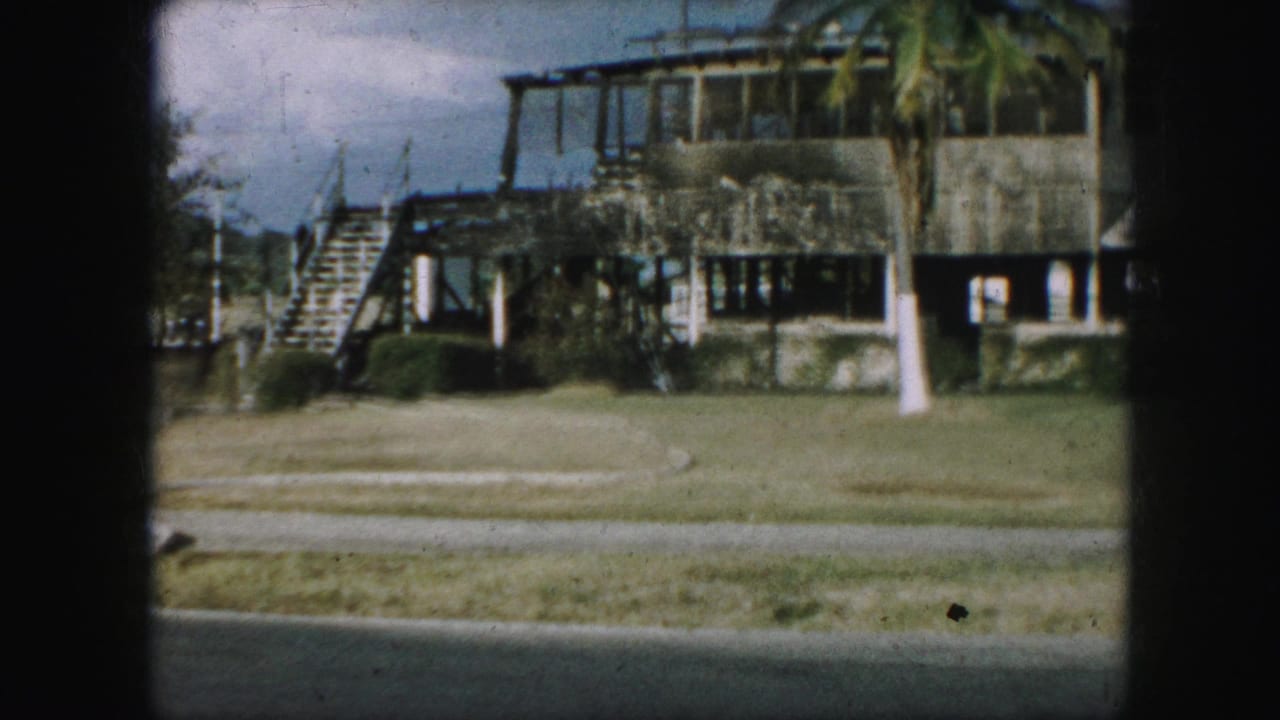 Building exterior with stairs, windows, lawn, and a palm tree near the front.