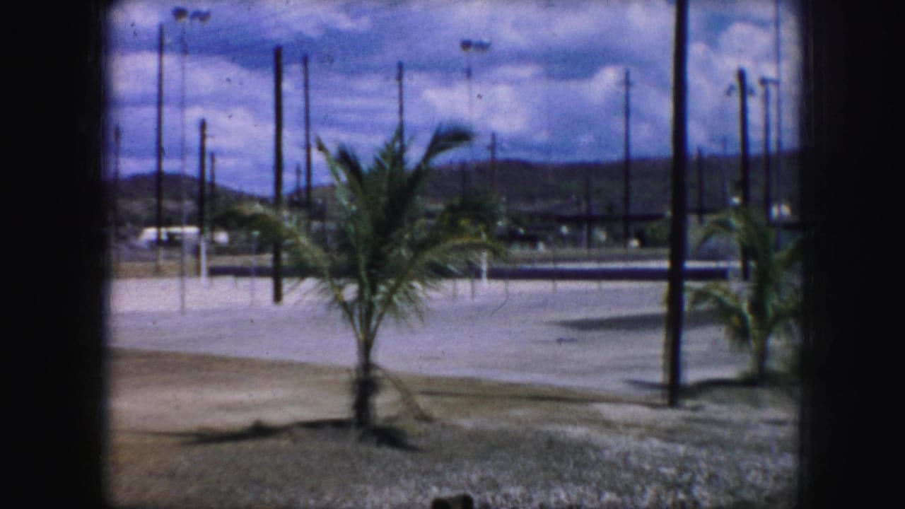 1959 8mm view in Kansas City metadata showing an empty paved yard with a palm tree, utility poles, fencing, distant hills, and heavy clouds.