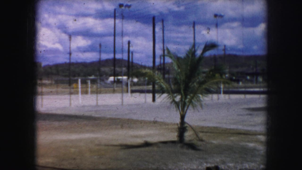 Kansas City 1959 8mm frame of an empty industrial-edge yard, centered on a palm tree with fencing, poles, hills, and clouds in the background.