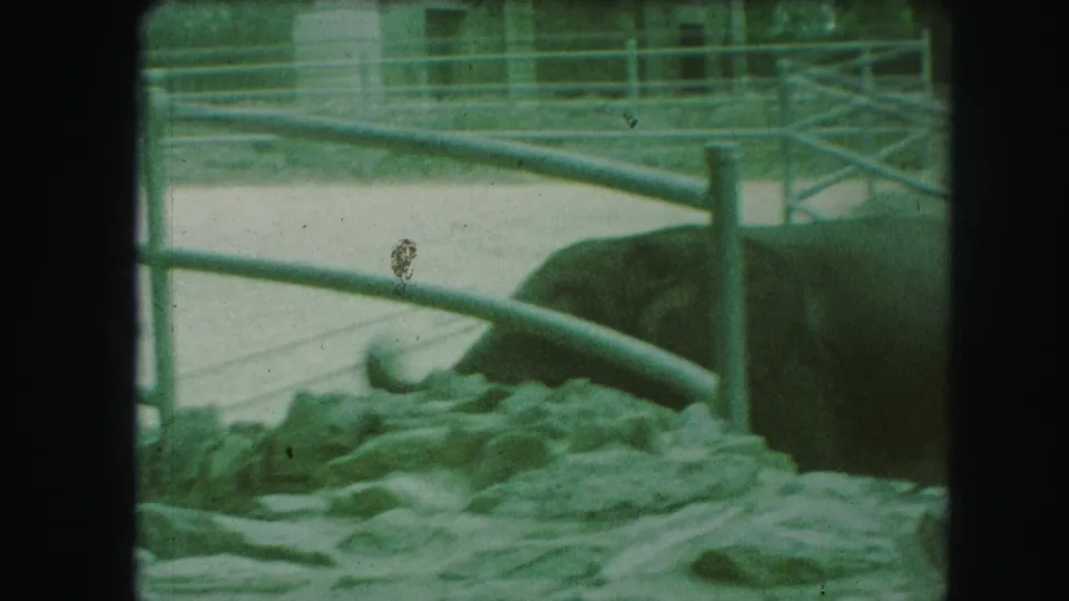 1959 Kansas City zoo frame with the elephant near the right side, partly obscured by railings and rocky foreground.