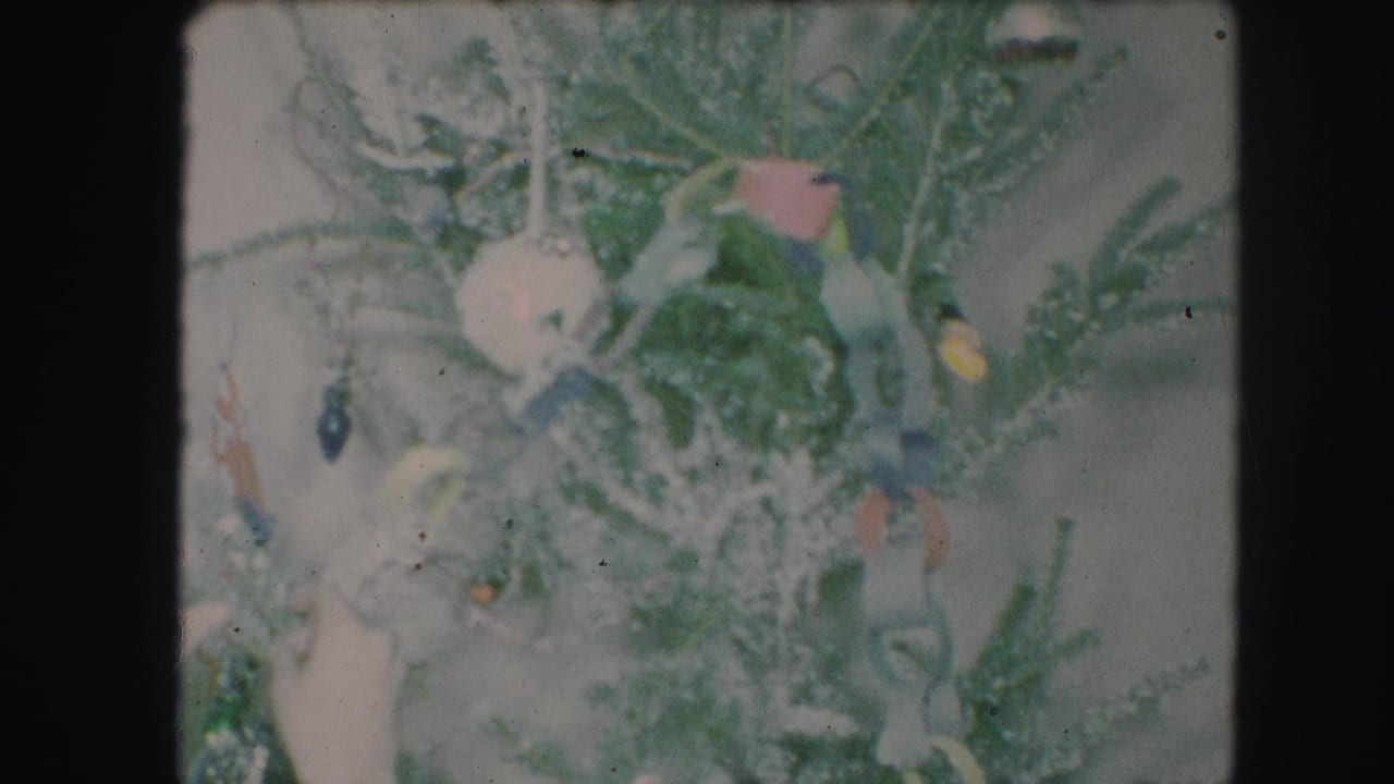 Close-up of a decorated Christmas tree with flocked branches, ornaments, lights, and paper chain.