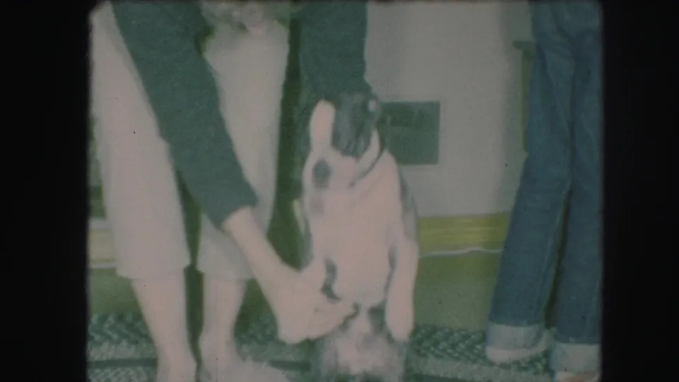The dog rises near an adult in light pants, with another person in cuffed jeans visible beside them in the private interior.
